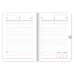 Denný diár 2026 A5 Ajax - zlatá