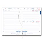 Diár BRILIANT denný A5 2025 slovenský - zlatá