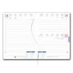 Diár DESIGN denný B6 2025 - Ginkgo