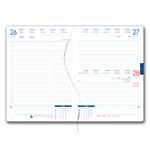 Diár DESIGN denný B6 2027 - Ginkgo