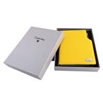 Diár GEP CRYSTAL denný B6 2026 polský - žltá