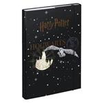 Dosky na školské zošity A4 Harry Potter Bradavice Erb