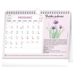 Nástenný aj stolový kalendár 2026 Mesačný plánovací so semienkami a háčikom