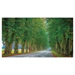 Nástenný kalendár 2026 - Aleje