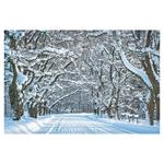 Nástenný kalendár 2026 - Aleje