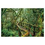 Nástenný kalendár 2026 - Aleje