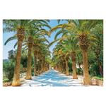 Nástenný kalendár 2026 - Aleje