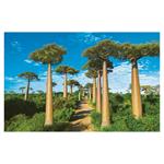 Nástenný kalendár 2026 - Aleje