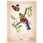 Nástenný kalendár 2026 - Aviarium