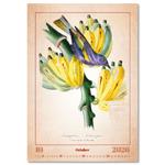 Nástenný kalendár 2026 - Aviarium