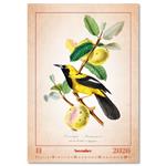 Nástenný kalendár 2026 - Aviarium