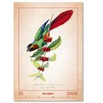 Nástenný kalendár 2026 - Aviarium