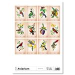 Nástenný kalendár 2026 - Aviarium