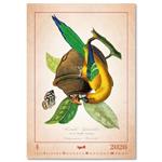 Nástenný kalendár 2026 - Aviarium