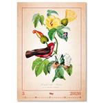 Nástenný kalendár 2026 - Aviarium