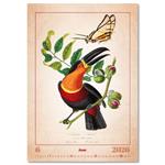 Nástenný kalendár 2026 - Aviarium