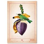 Nástenný kalendár 2026 - Aviarium