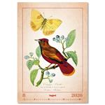 Nástenný kalendár 2026 - Aviarium
