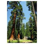 Nástenný kalendár 2026 Beautiful world