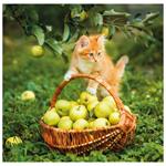 Nástenný kalendár 2026 - Cats