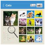 Nástenný kalendár 2026 - Cats