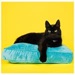 Nástenný kalendár 2026 - Cats