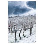 Nástenný kalendár 2026 - Čechy a Morava