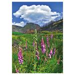 Nástenný kalendár 2026 České Švajčiarsko