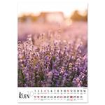 Nástenný kalendár 2026 český Kvety