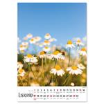 Nástenný kalendár 2026 český Kvety