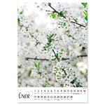 Nástenný kalendár 2026 český Kvety