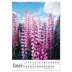 Nástenný kalendár 2026 český Kvety