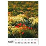 Nástenný kalendár 2026 český Kvety