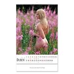 Nástenný kalendár 2026 český Natural