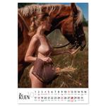 Nástenný kalendár 2026 český Natural