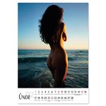 Nástenný kalendár 2026 český Natural