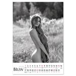 Nástenný kalendár 2026 český Natural