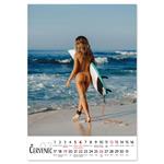 Nástenný kalendár 2026 český Natural