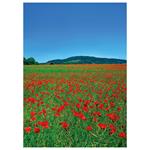 Nástenný kalendár 2026 Český raj