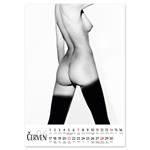 Nástenný kalendár 2026 český Sensual