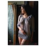 Nástenný kalendář 2026 - Charm of the Moment