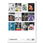 Nástenný kalendár 2026 - Colour Art