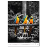 Nástenný kalendár 2026 - Colour Art