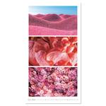 Nástenný kalendár 2026 - Colours