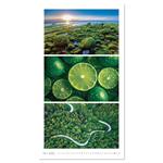 Nástenný kalendár 2026 - Colours