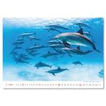 Nástenný kalendár 2026 - Deep Blue