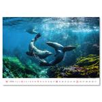 Nástenný kalendár 2026 - Deep Blue