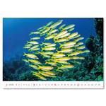 Nástenný kalendár 2026 - Deep Blue