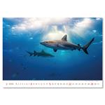 Nástenný kalendár 2026 - Deep Blue