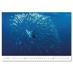 Nástenný kalendár 2026 - Deep Blue